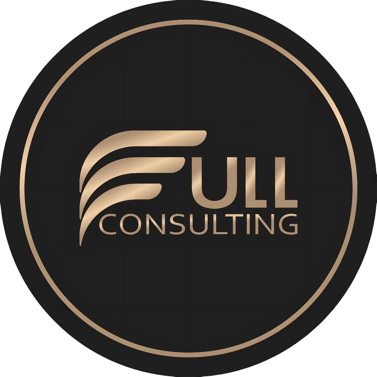 Ֆուլլ քոնսալթինգ